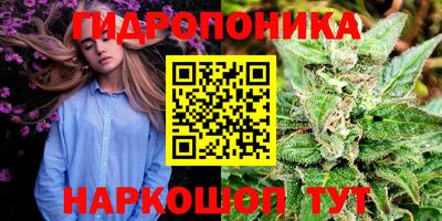 герыч Можга