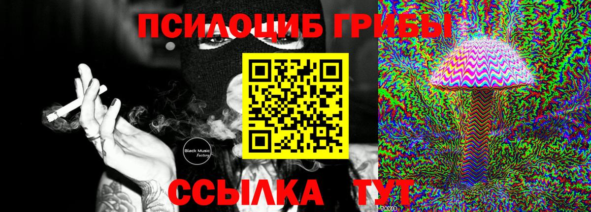 Галлюциногенные грибы Psilocybine cubensis Владивосток